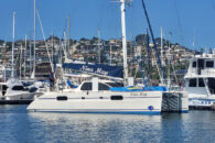 catana-431-dockside